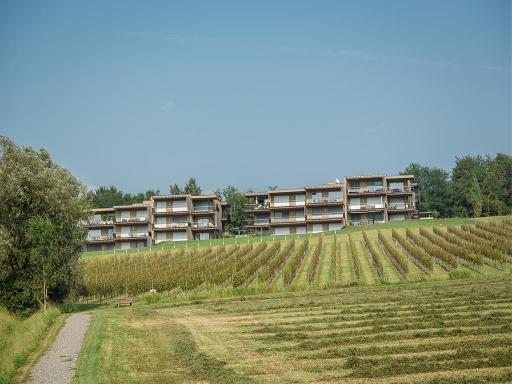 Wohnen Im Wein Daire Ehrenhausen Dış mekan fotoğraf